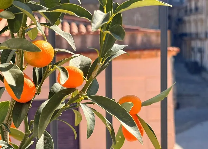 Palazzo Villelmi 住宿加早餐酒店 4*